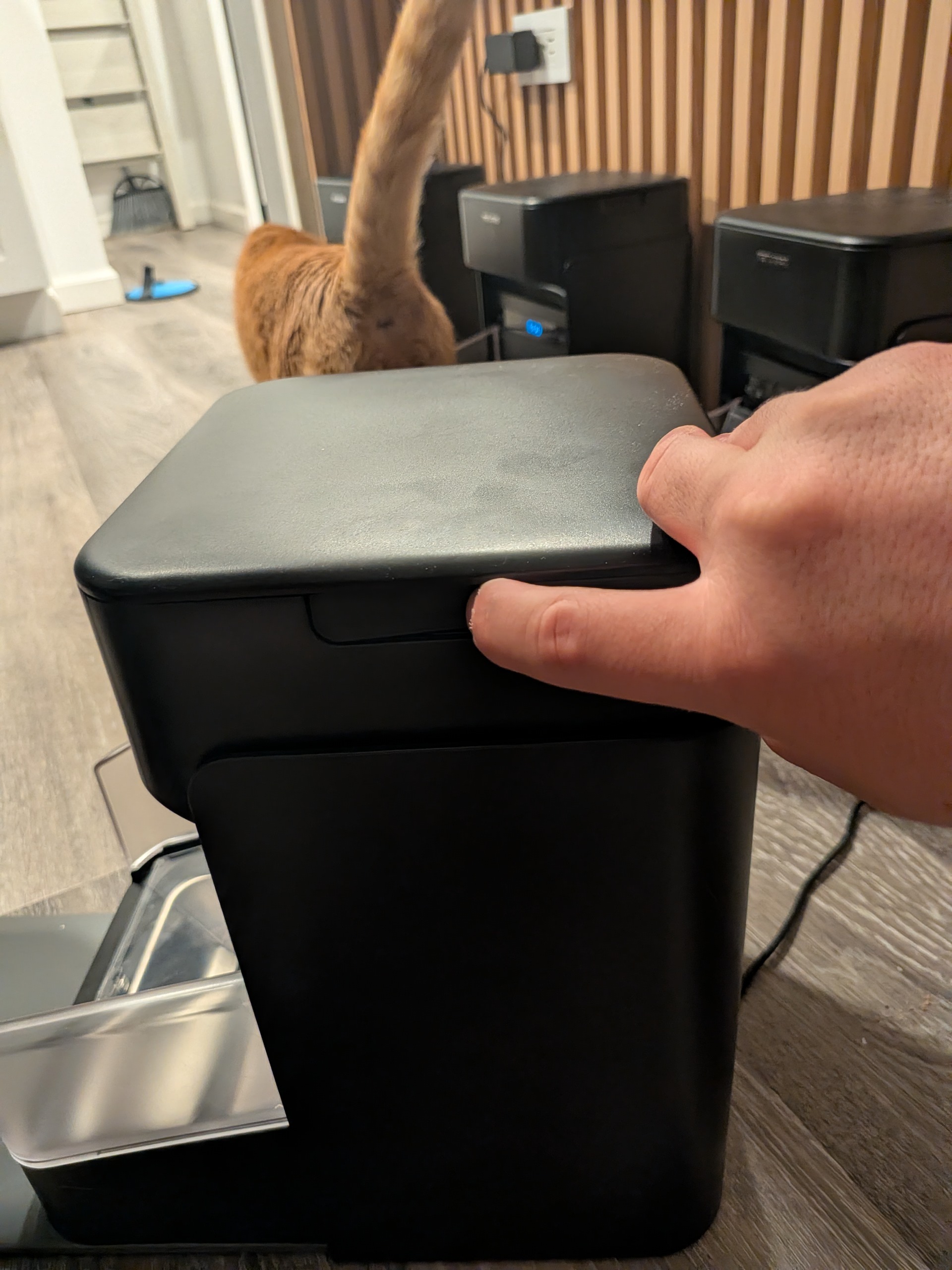 Feeder Indentations — photo coming soon