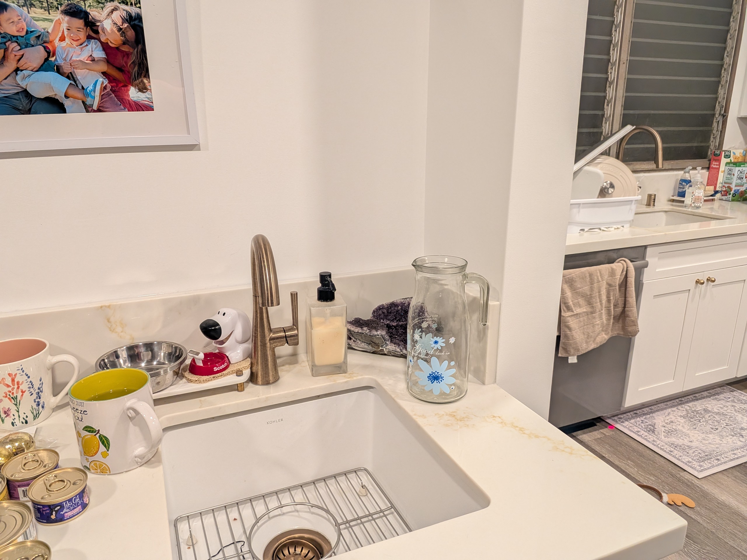 Pitcher Next to Sink